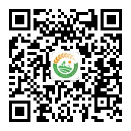 萝卜干定制厂家-农厂长官网